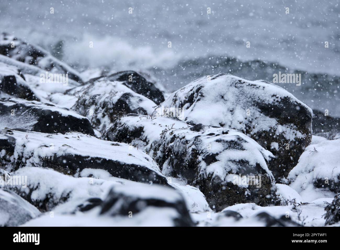 rocky costal black rock beach covered in falling snow, during winter storm Stock Photo