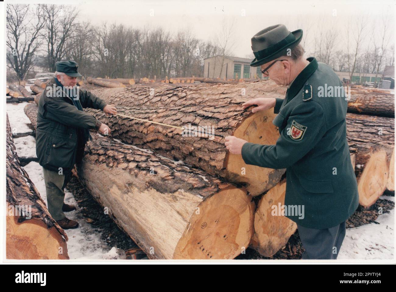 Vorbereitungen für die jährliche Holzauktion in Templin auf dem