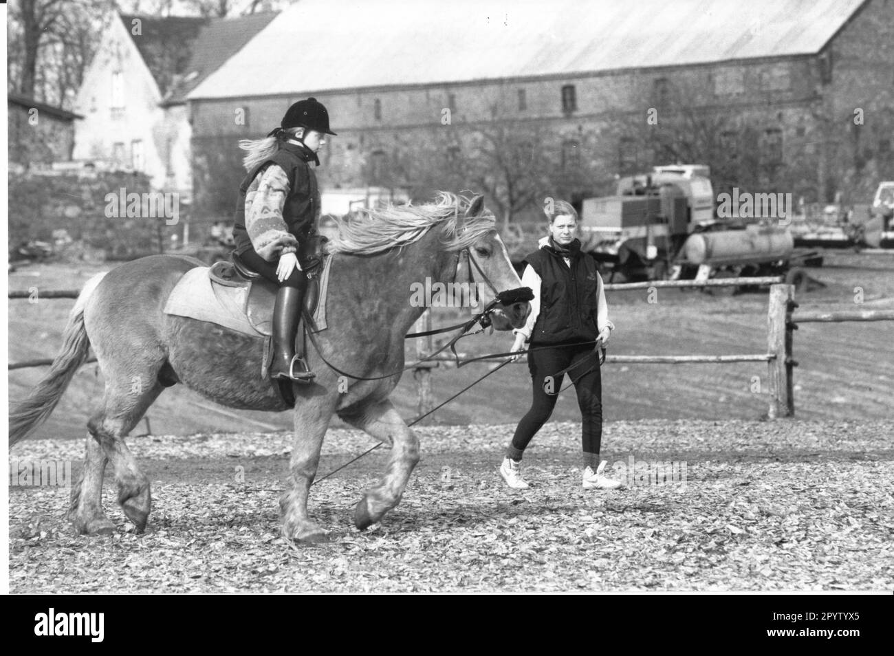 Pension for horses Black and White Stock Photos & Images Alamy