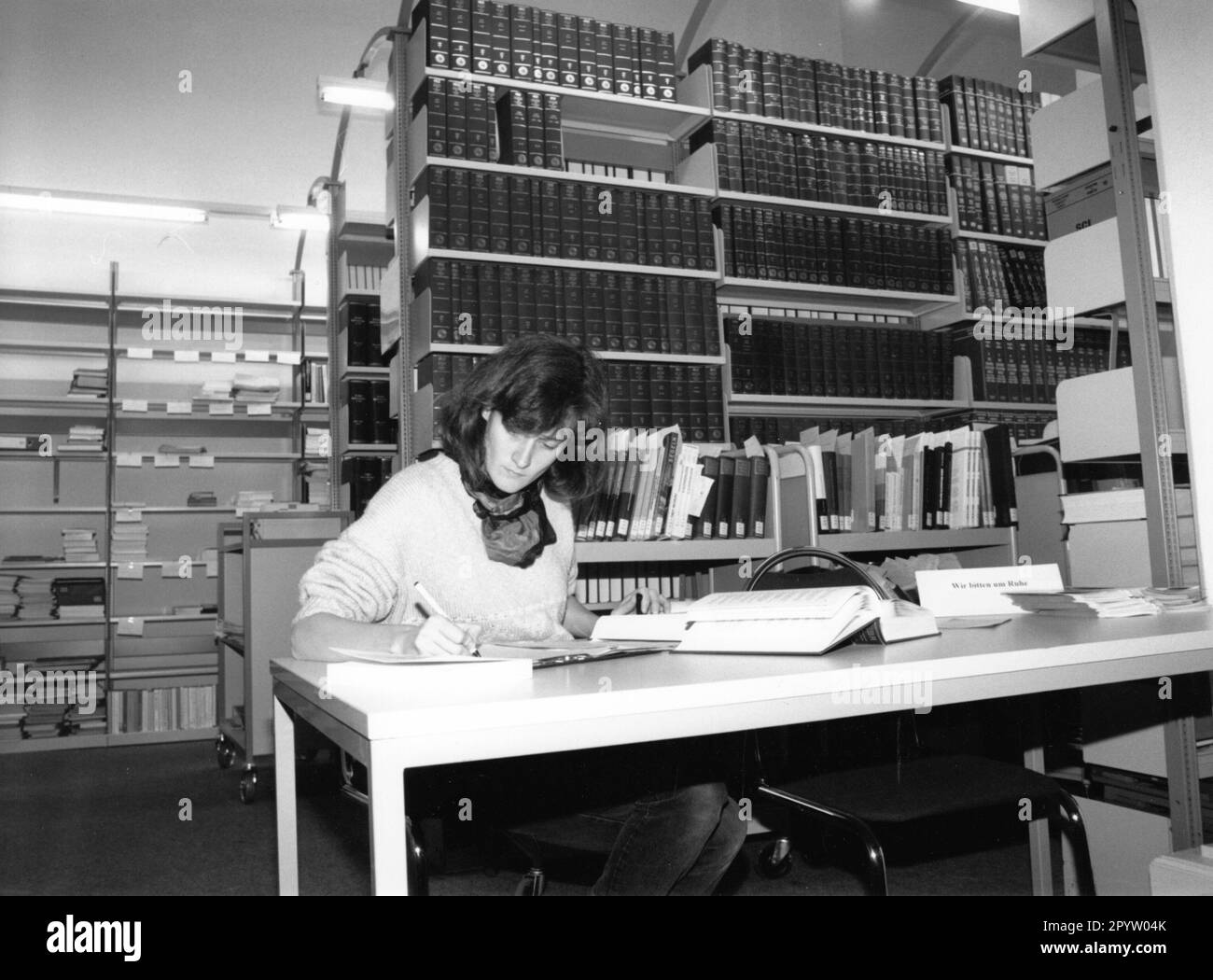 In the Departmental Library of the University of Potsdam at Neues