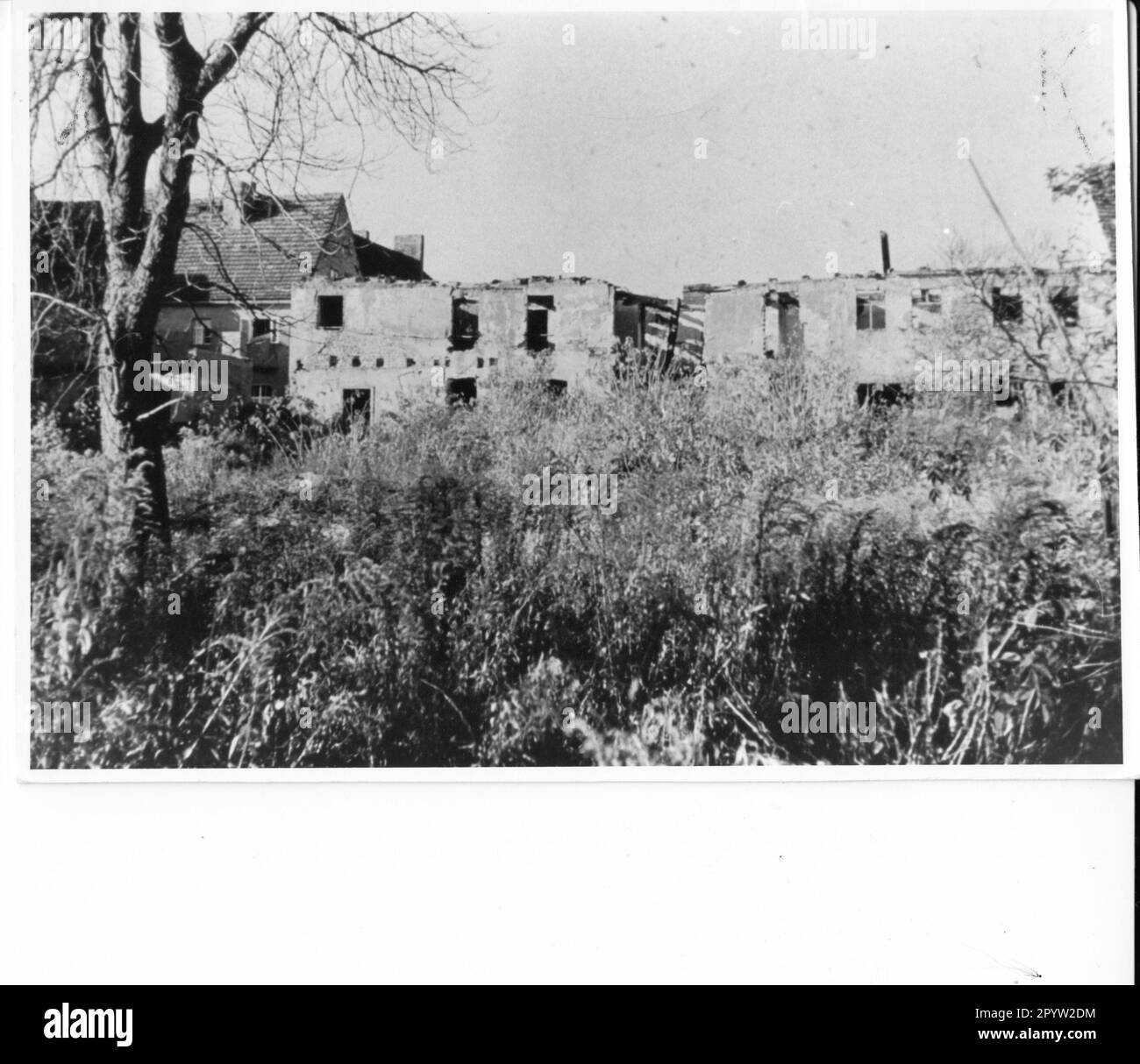 Adler real estate Black and White Stock Photos & Images Alamy