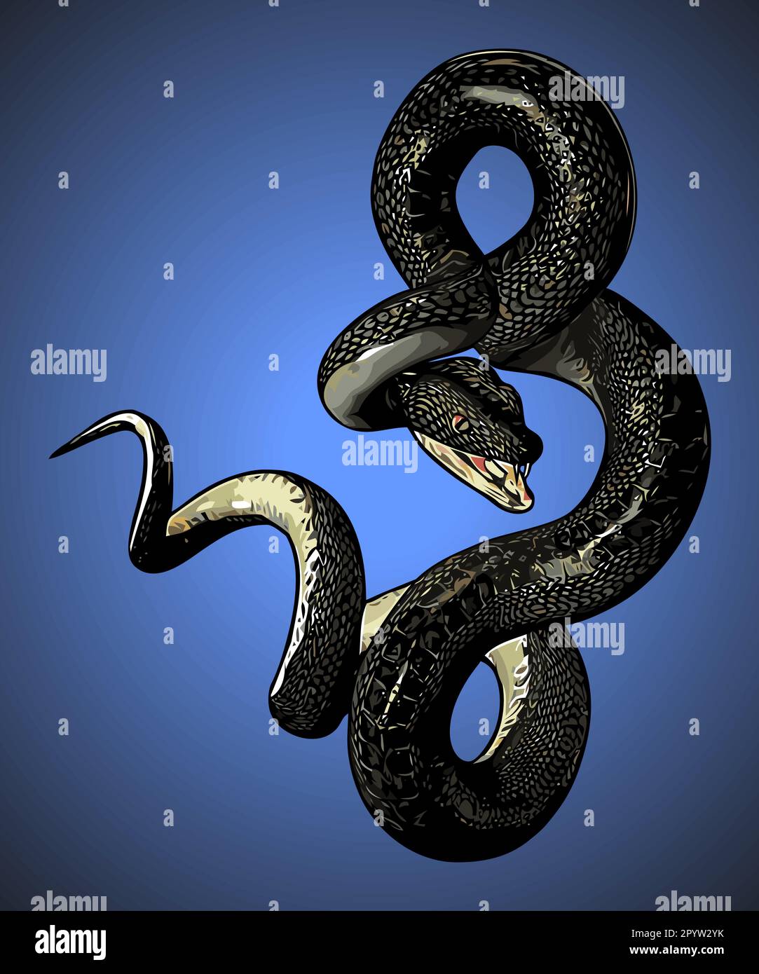 venomous snake vector template Stock Vector Image & Art Alamy