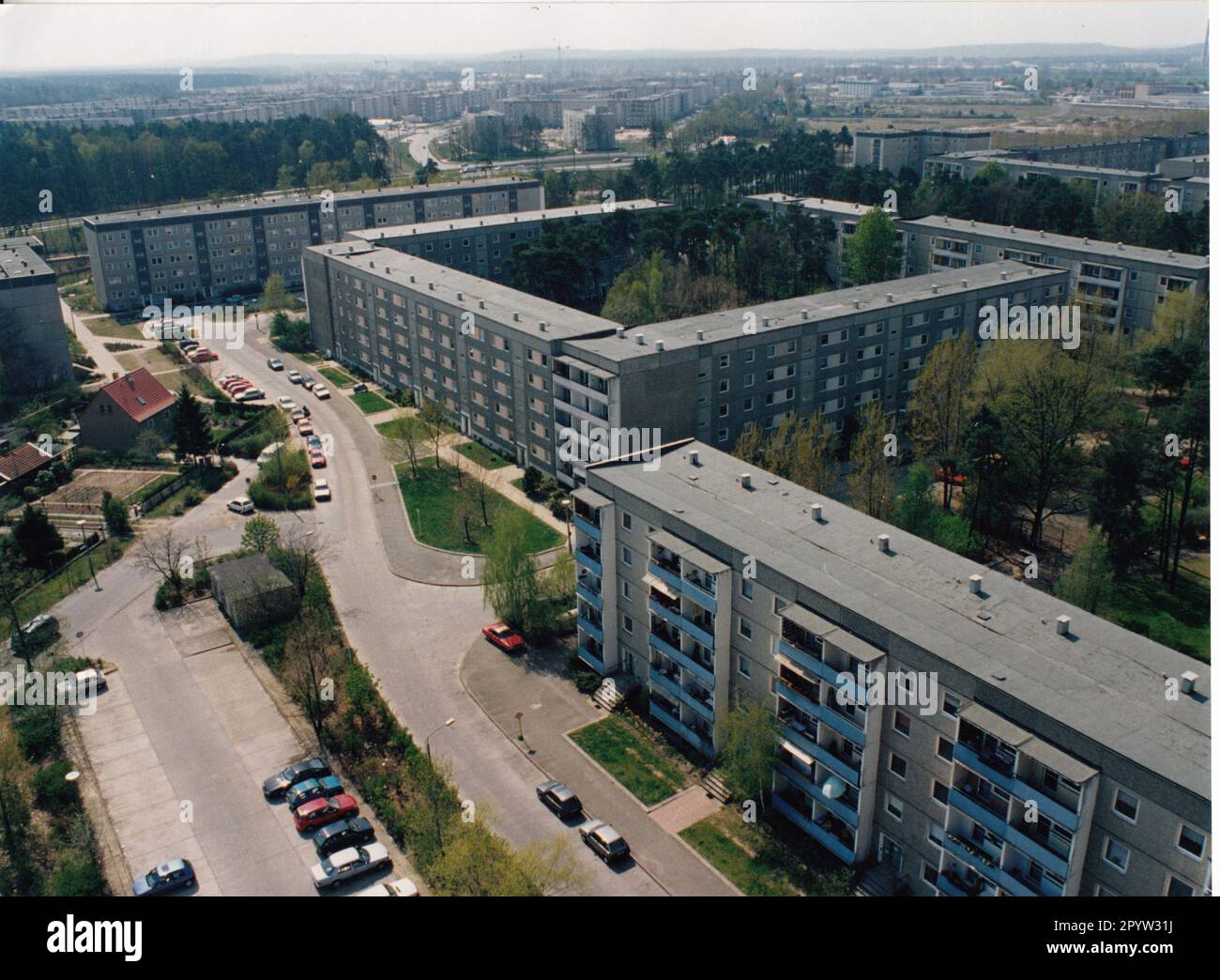 Potsdam residential area Am Stern April 1994 highrise forest trees