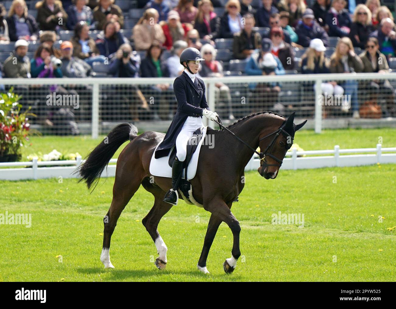 Great Britain's Rose Nesbitt on EG Michaelangelo on day two of the Badminton Horse Trials 2023 at The Badminton Estate, Gloucestershire. Picture date: Friday May 5, 2023. Stock Photo