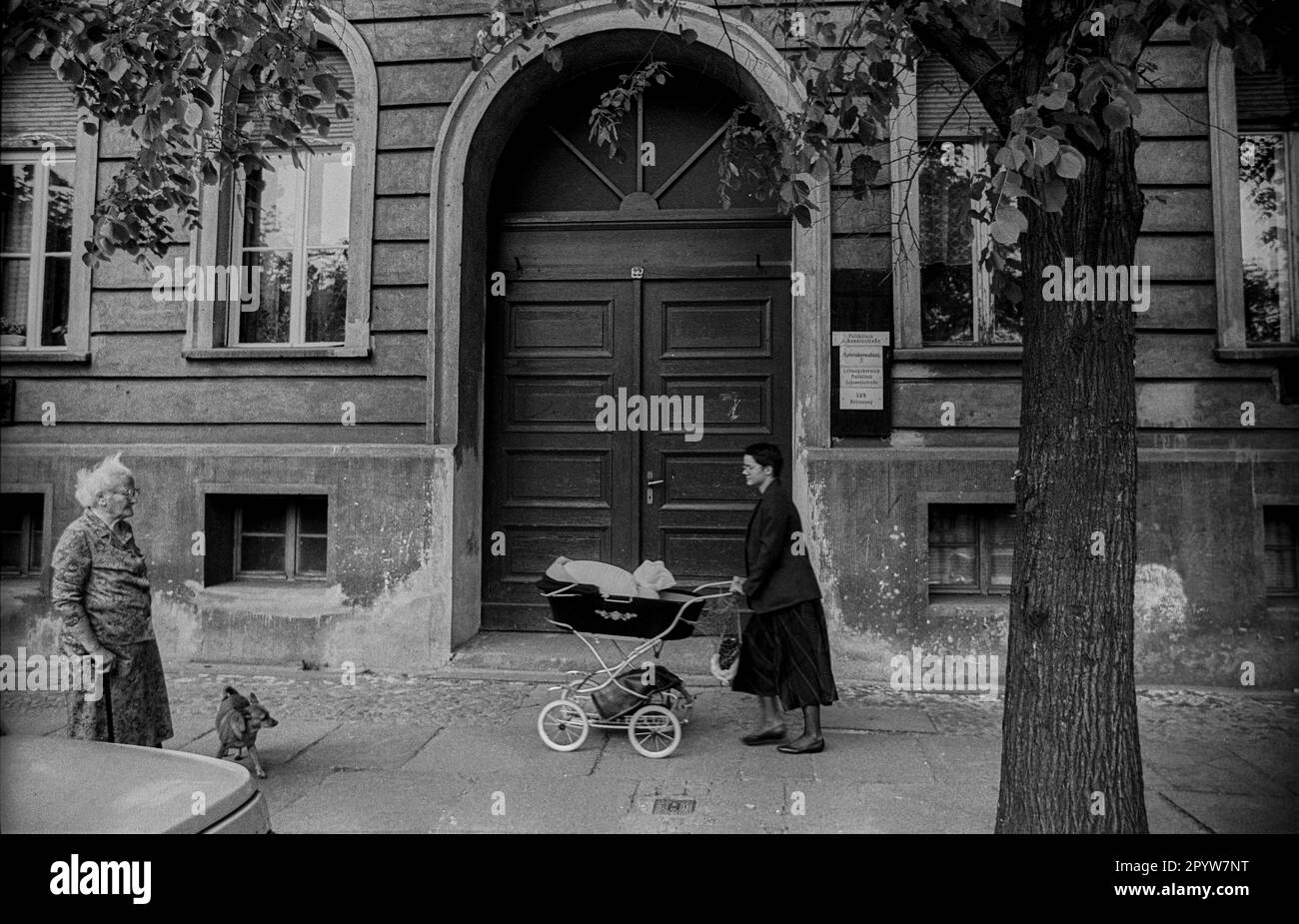 Mutter mit kinderwagen mit hund hi-res stock photography and images - Alamy