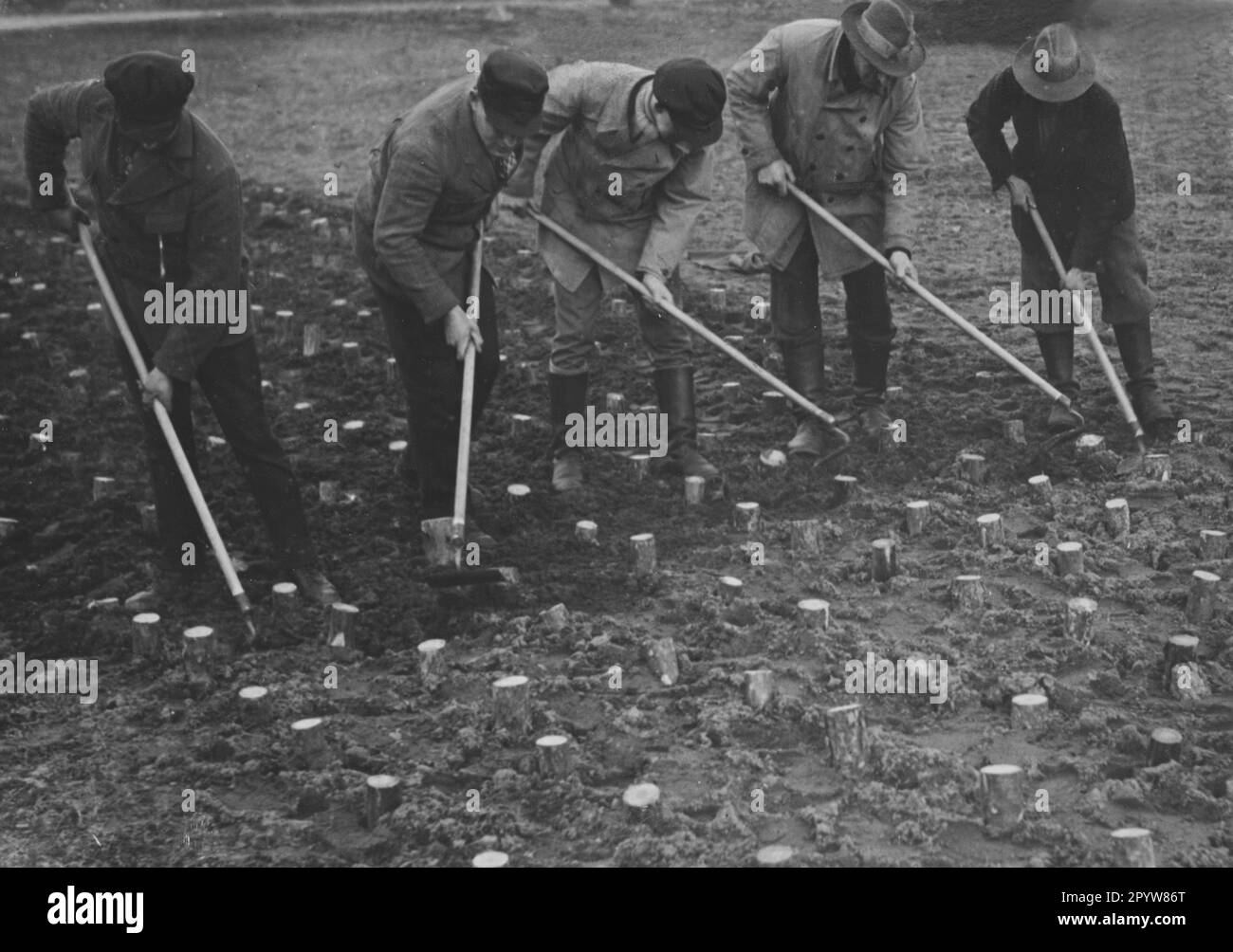 Unemployed people are taught how to hoe beets at a retraining camp in Hammerstein in East Prussia, which they practice on wooden models on an experimental area. [automated translation] Stock Photo