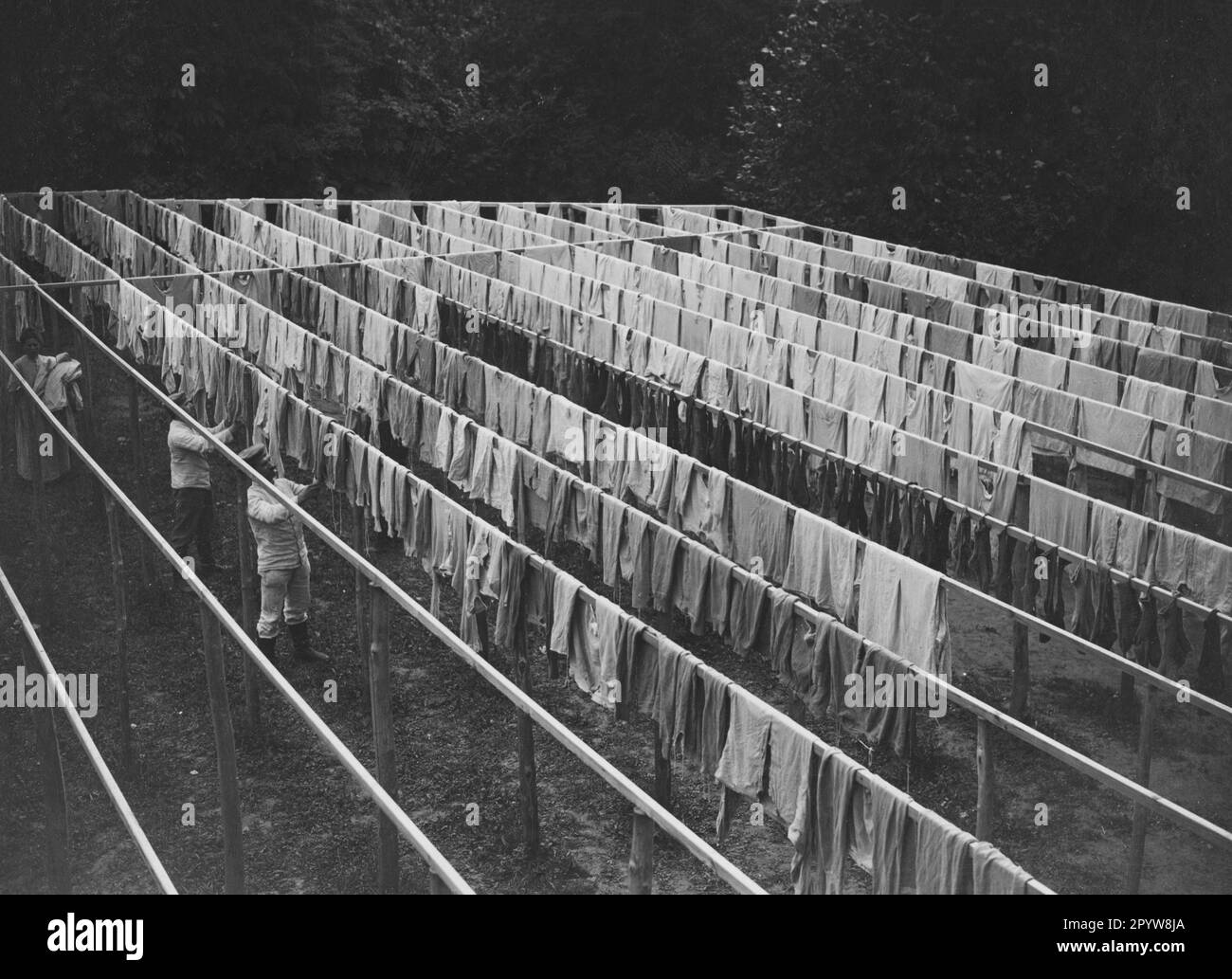 German laundry on the Western Front in World War I drying the laundry