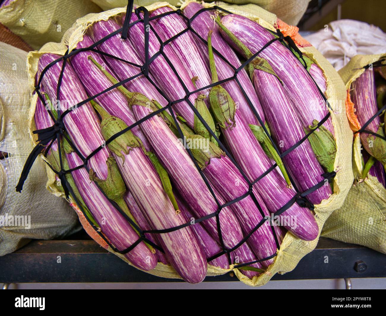 Striped eggplants in a sack with a cord retainer taken at the