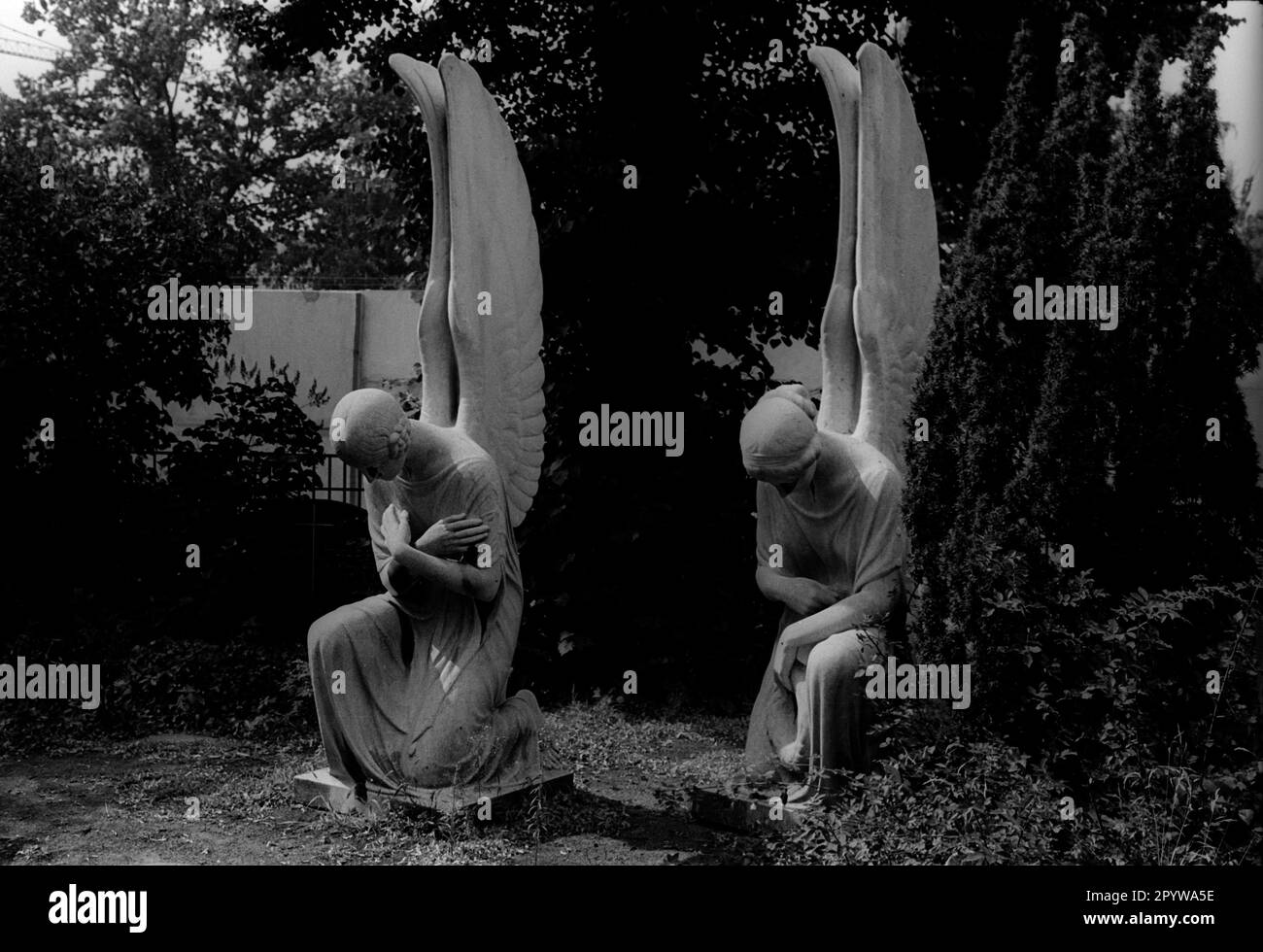 GDR, Berlin, 04.08.1986, churchyard of St. Hedwig's parish, angel