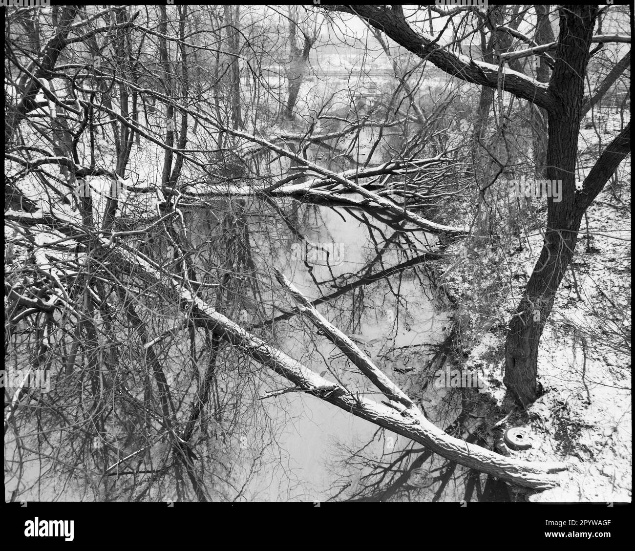 Winter landscape with fallen trees in the snow. Wildau. Photo, 1994