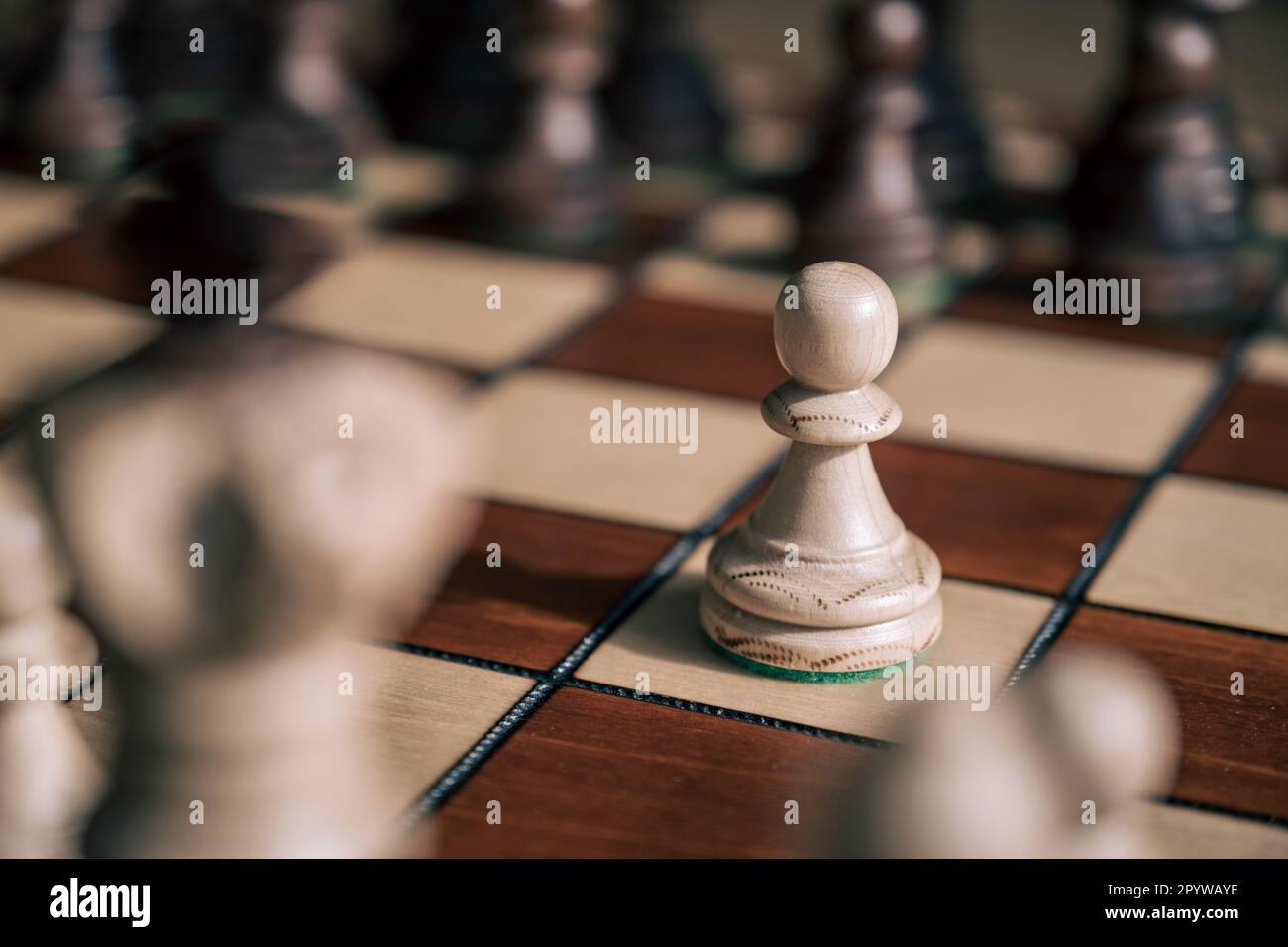 The white pawn chess piece is starting the game on chessboard Stock Photo -  Alamy