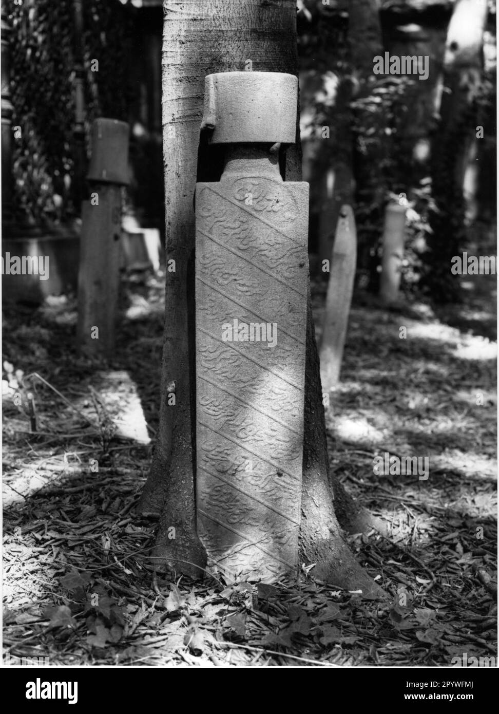 Istanbul (Turkey), Cemetery of a dervish order. Gravestone for a
