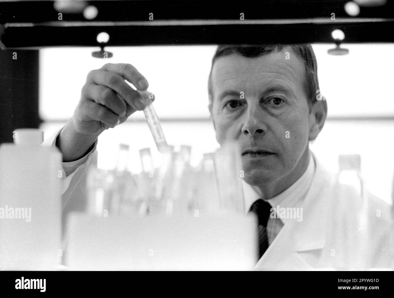 Professor Dr. med Wildor Hollmann Sports University Cologne 18.12.1984 . Prof. Hollmann in the laboratory with test tubes and test tubes respectively [automated translation] Stock Photo