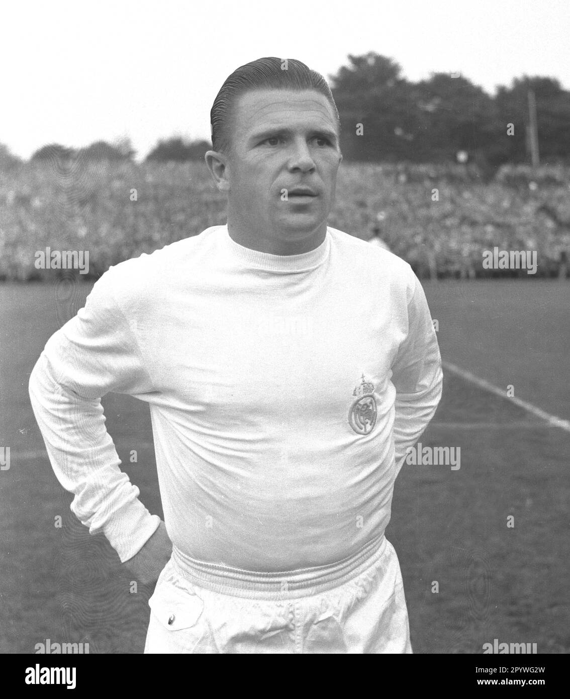 International friendly match: 1. FC Köln - Real Madrid 4:5/13.08.1960. Ferenc Puskas (Real Madrid) portrait. For journalistic use only! Only for editorial use! [automated translation] Stock Photo