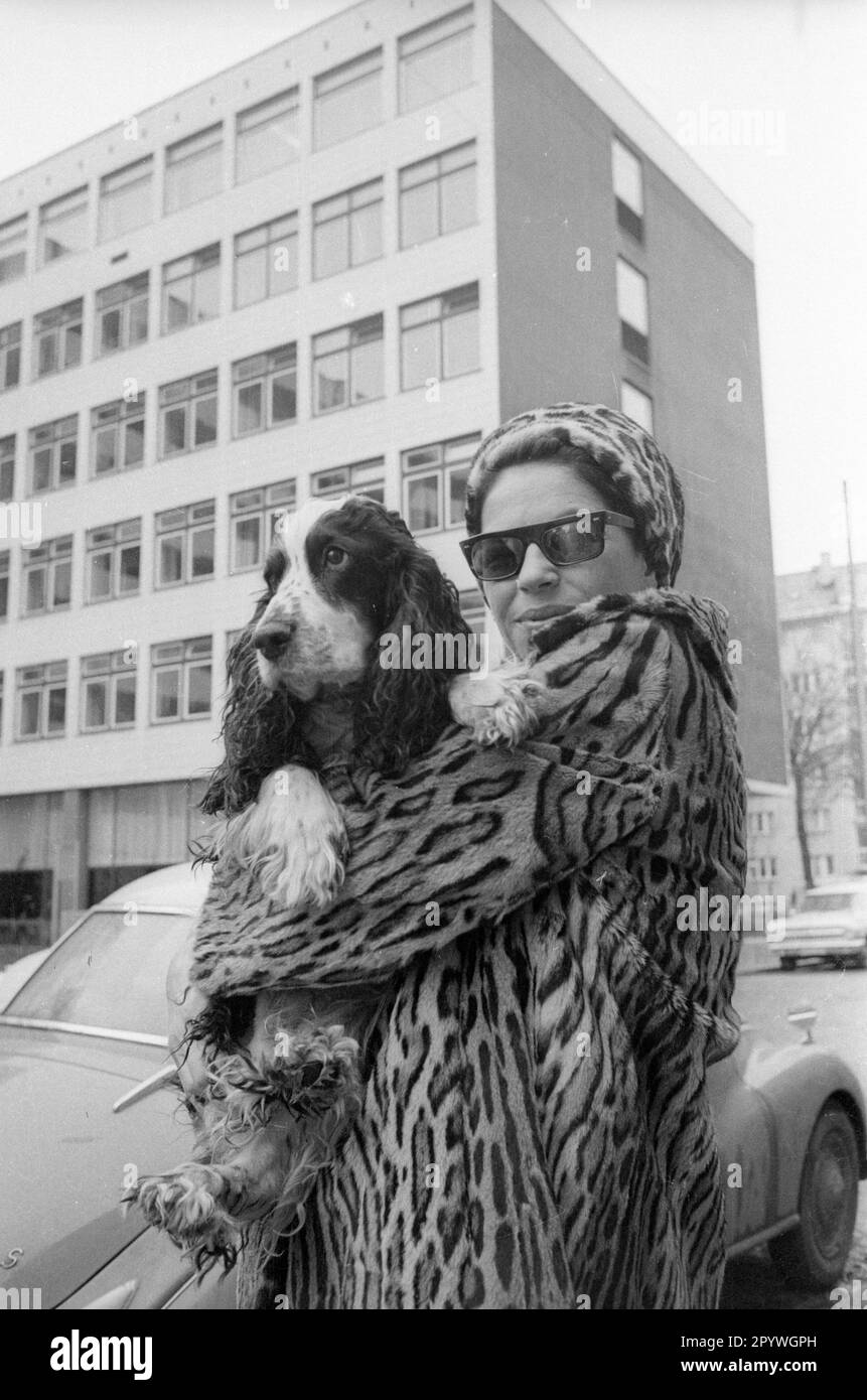 Dog owners protest in front of their housing estate in Munich against the house owner who has forbidden the keeping of dogs in the apartments. Munich actress Hanne Wieder with a spaniel. [automated translation] Stock Photo