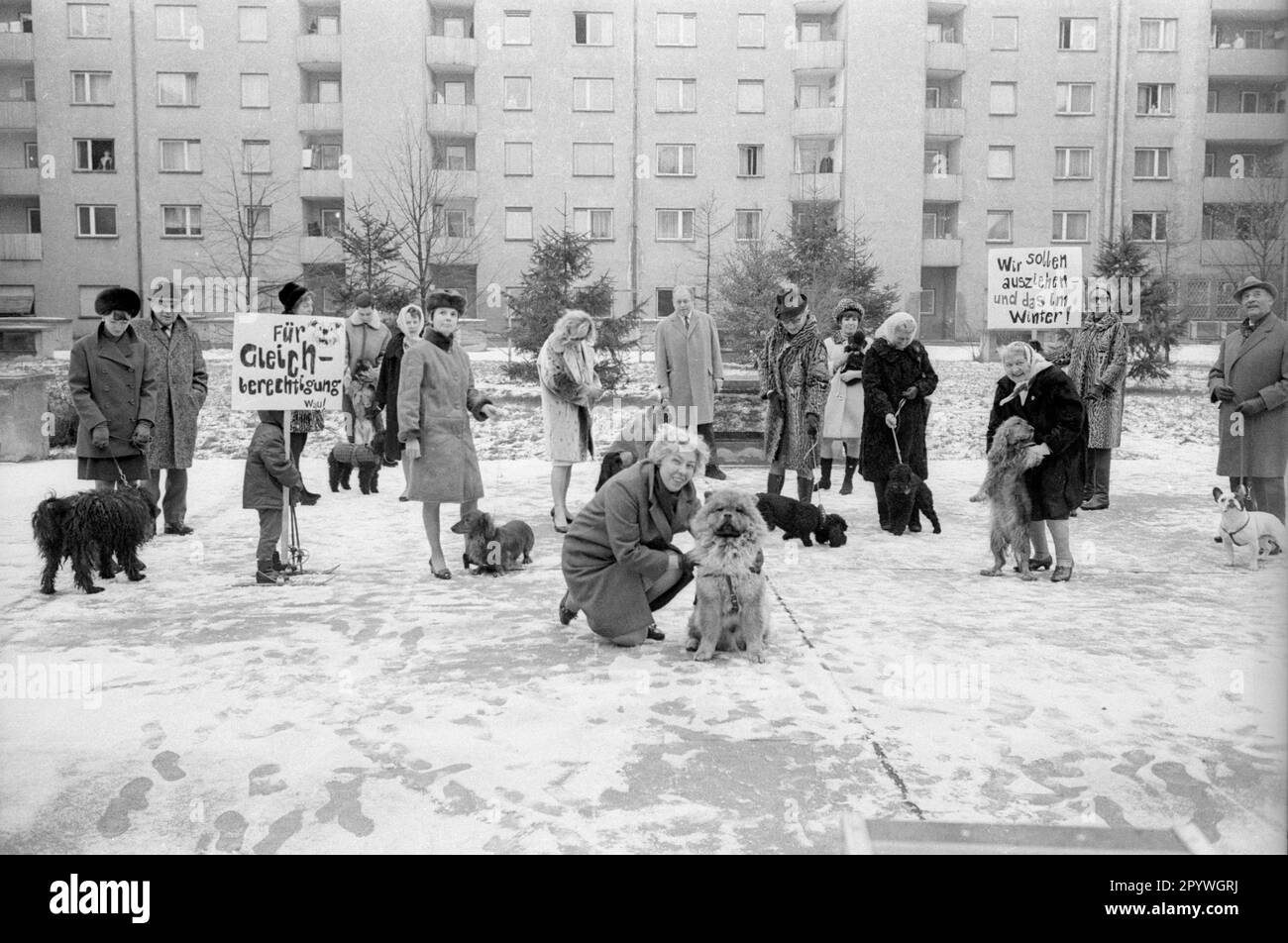 Dog owners protest in front of their housing estate in Munich against ...