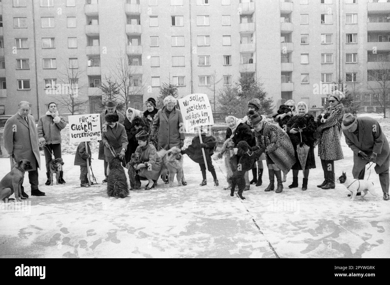 Dog owners protest in front of their housing estate in Munich against ...