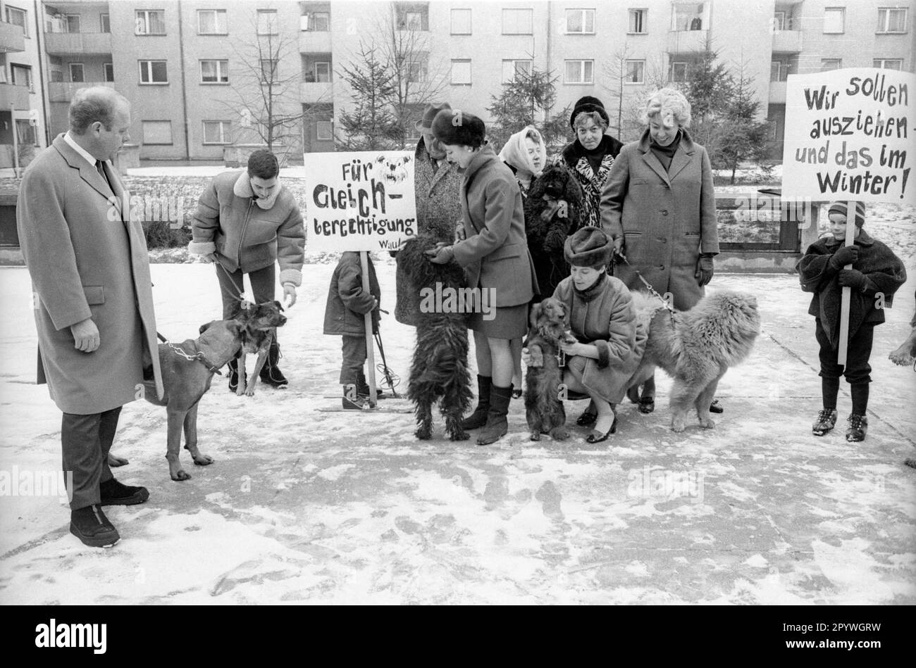 Dog owners protest in front of their housing estate in Munich against ...