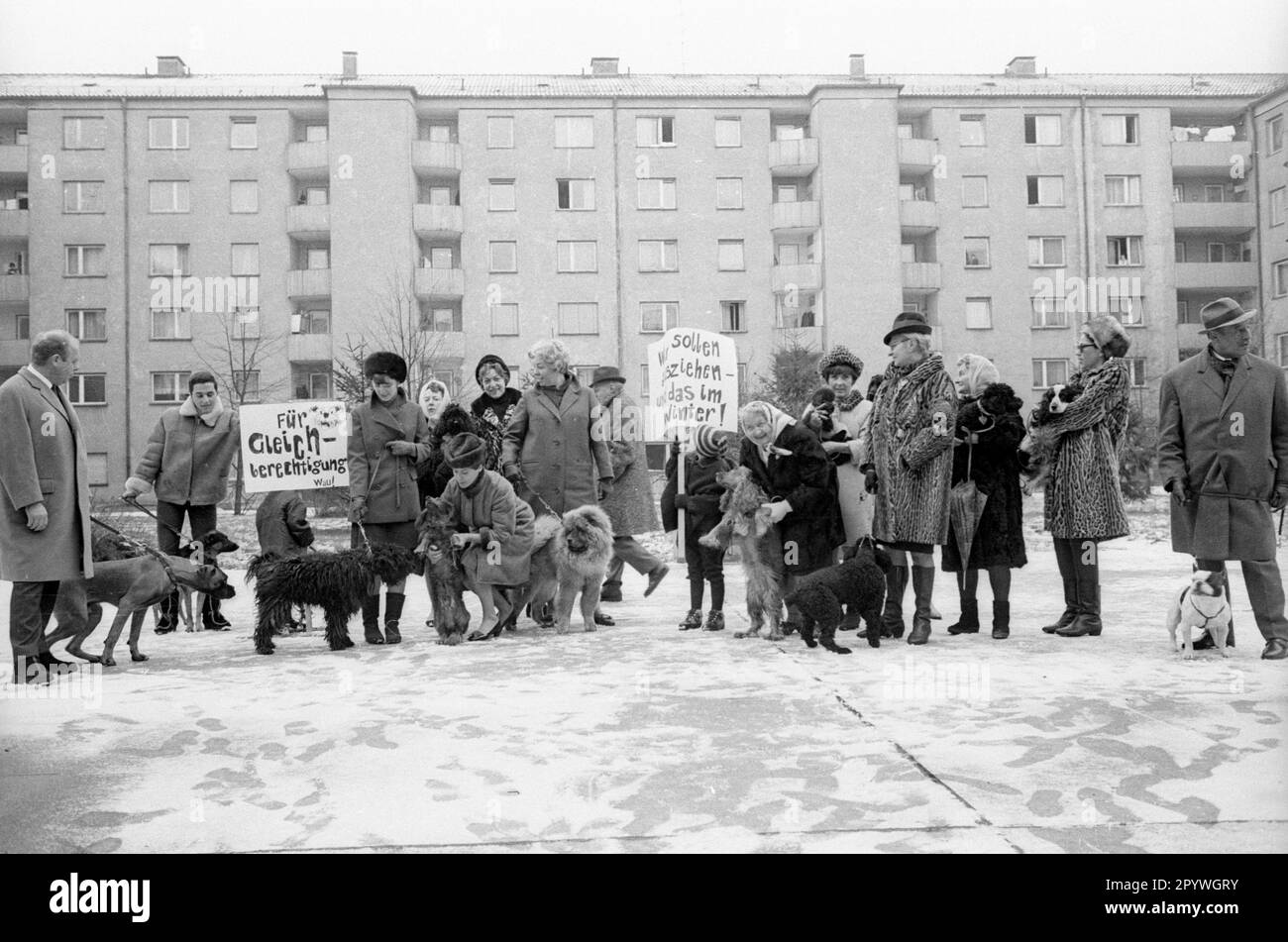 Dog owners protest in front of their housing estate in Munich against ...