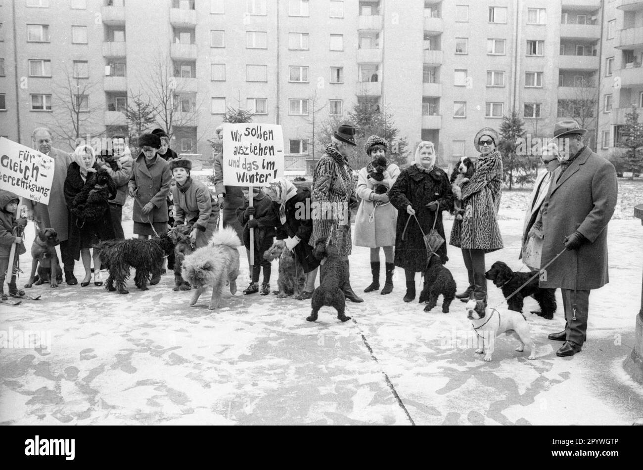 Dog owners protest in front of their housing estate in Munich against ...