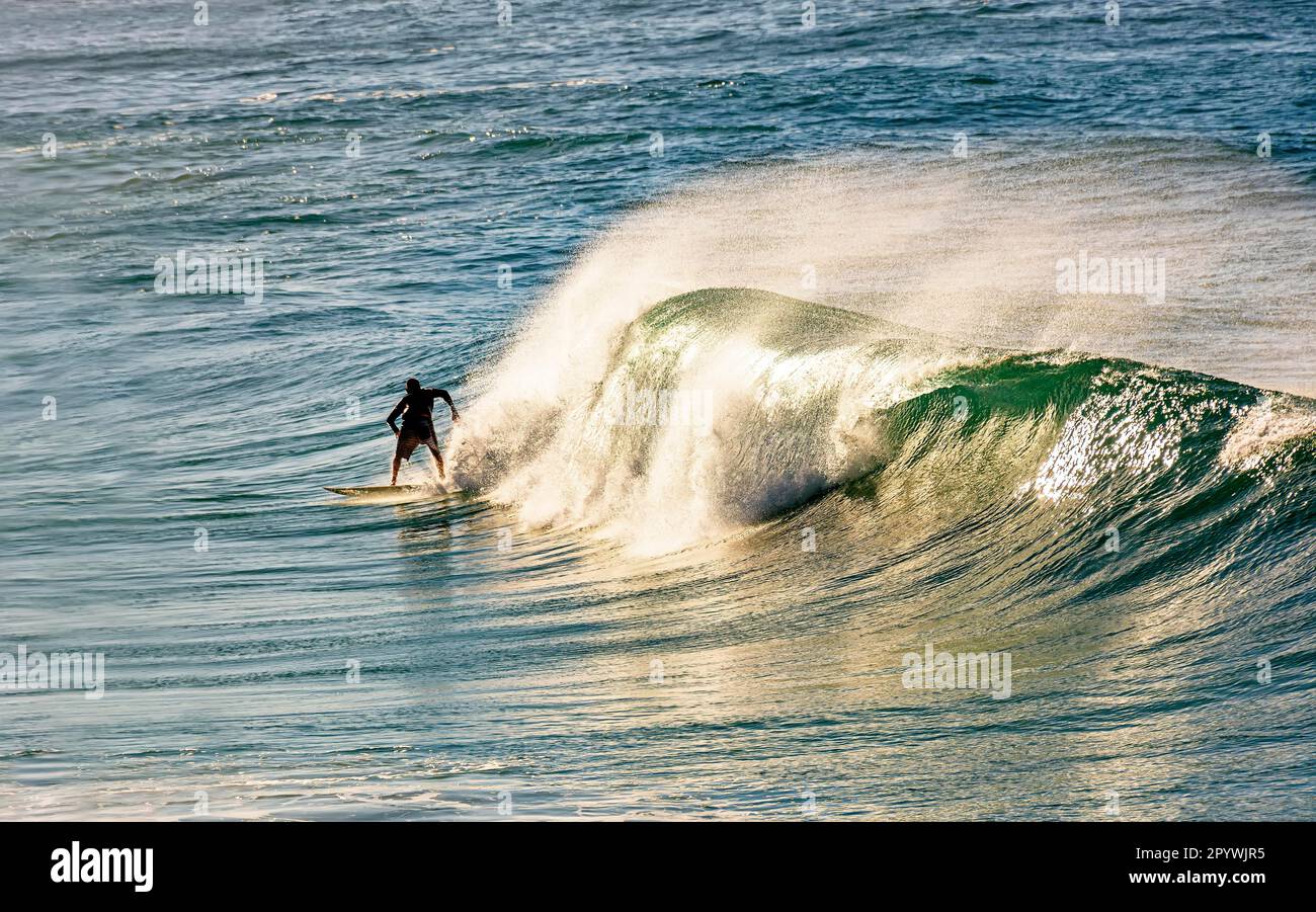 Surfer on a wave at Ipanema beach in Rio de Janeiro at dawn, Brasil Stock Photo