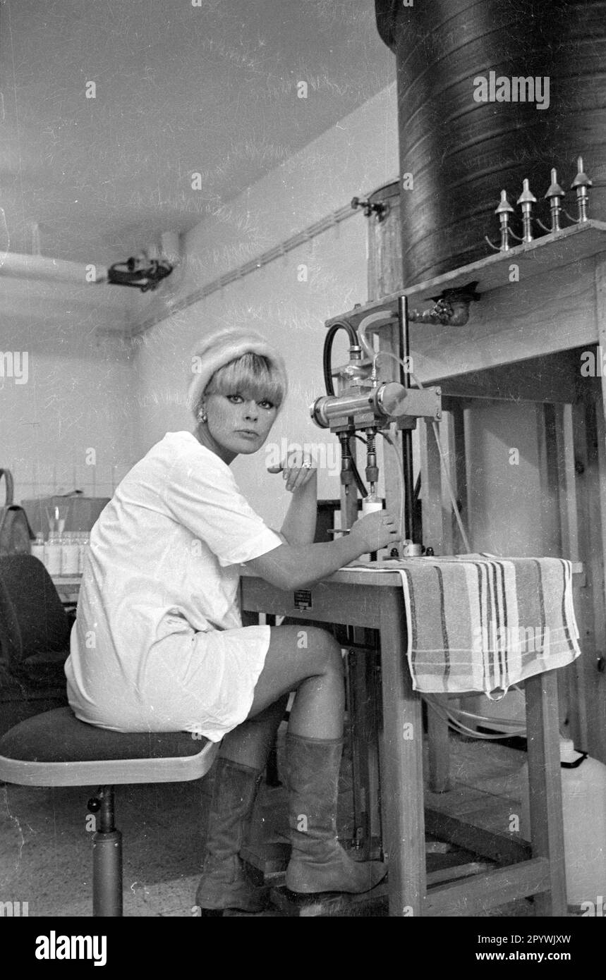 Photo series: Elke Sommer in her own perfume factory. [automated translation] Stock Photo