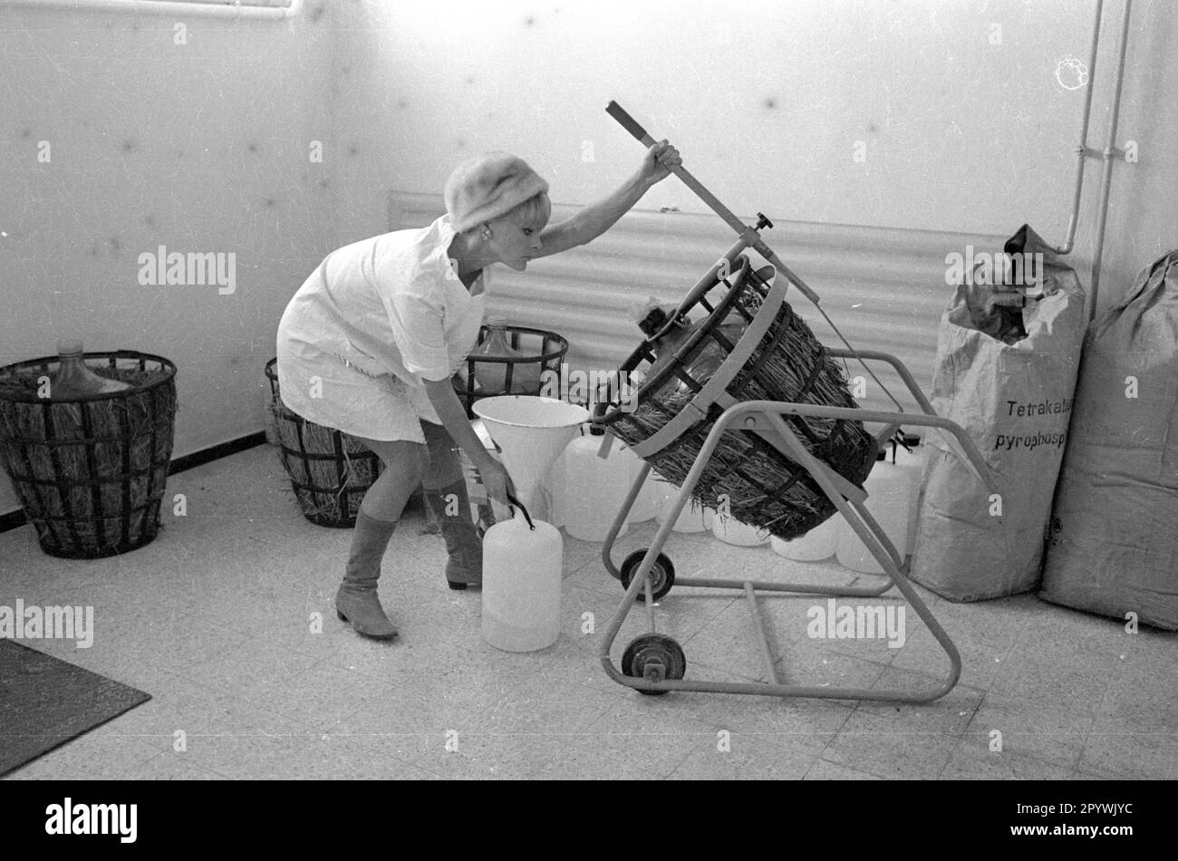 Photo series: Elke Sommer in her own perfume factory. [automated translation] Stock Photo