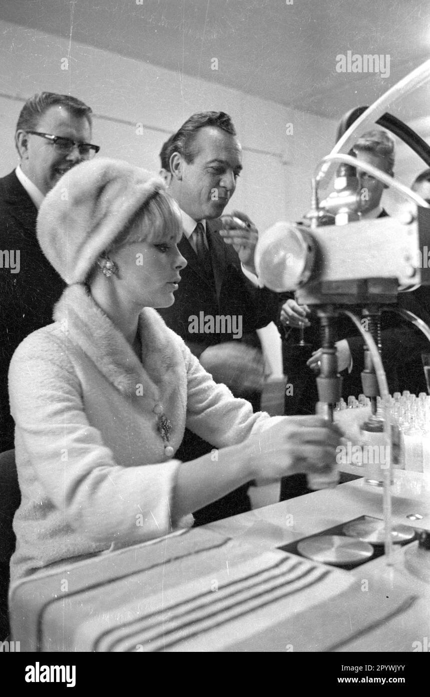 Photo series: Elke Sommer in her own perfume factory. [automated translation] Stock Photo