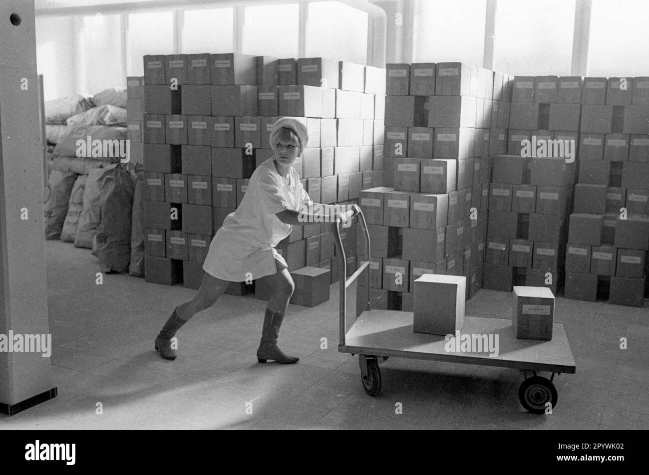 Photo series: Elke Sommer in her own perfume factory. [automated translation] Stock Photo