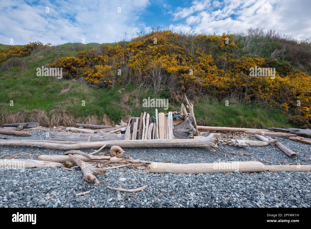 An unhoused person's homebuilt shelter on the beach near Beacon Hill