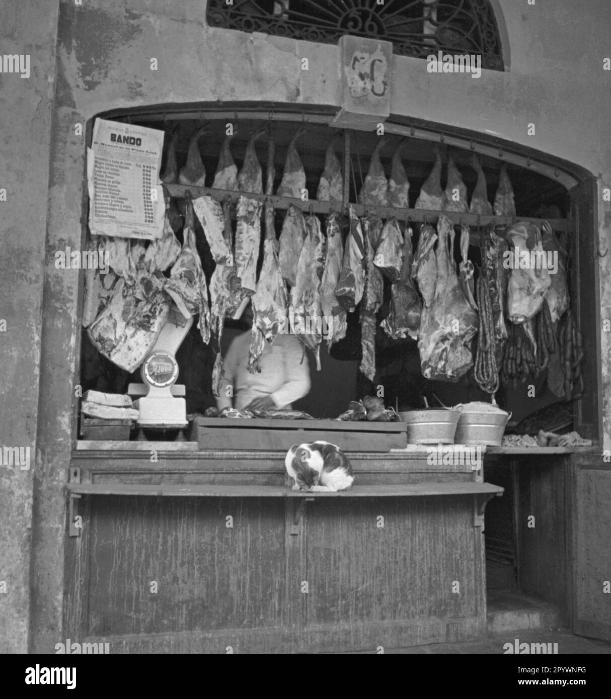 cat-meat-black-and-white-stock-photos-images-alamy