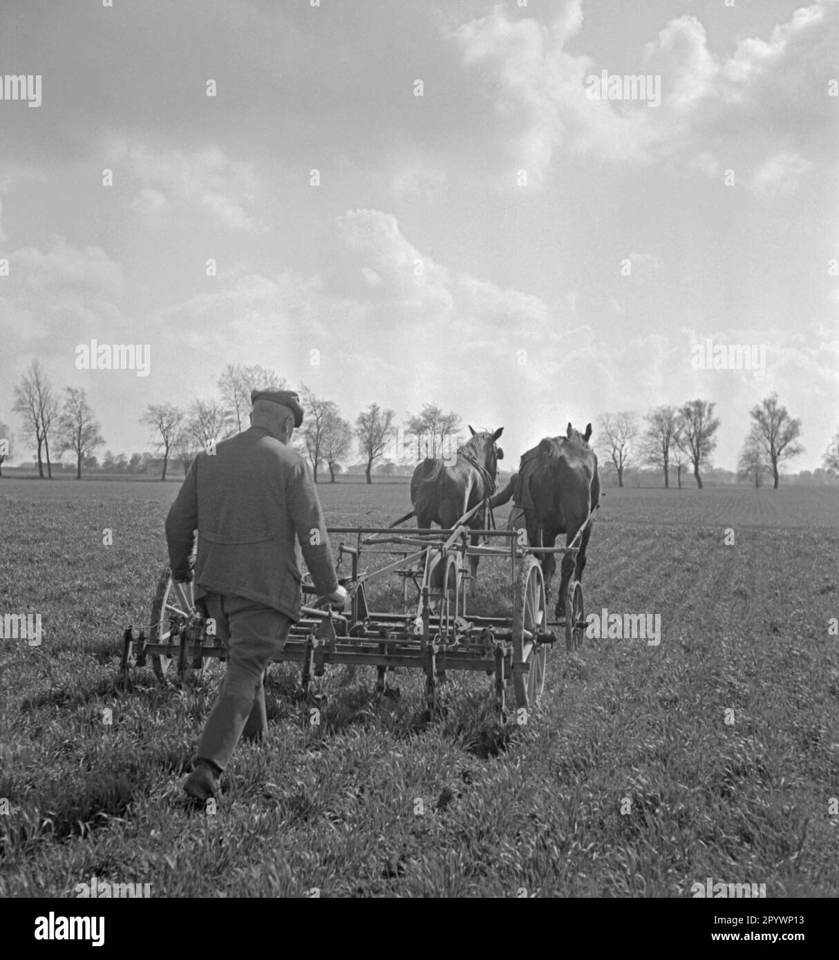 Farmer plowing field horse in hires stock photography and images Alamy
