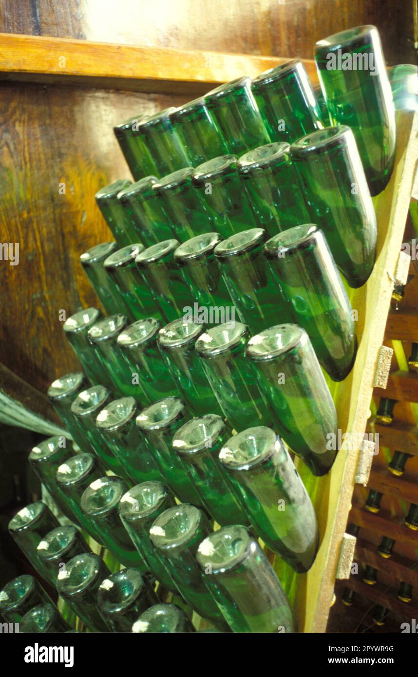 Rack for storing upside down champagne bottles in the wine cellar