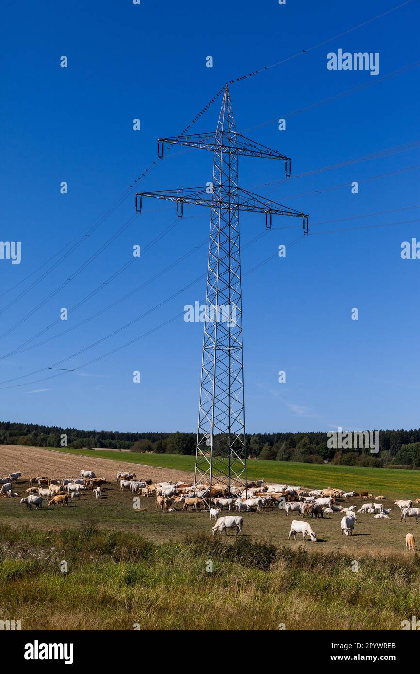 Lattice mast Stock Photo