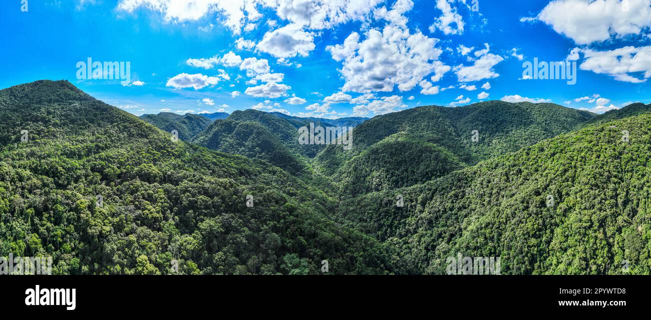 Aerial of the Unesco site Atlantic Forest South-East Reserves, Alto Ribeira Touristic State Park, Sao Paulo state, Brazil Stock Photo