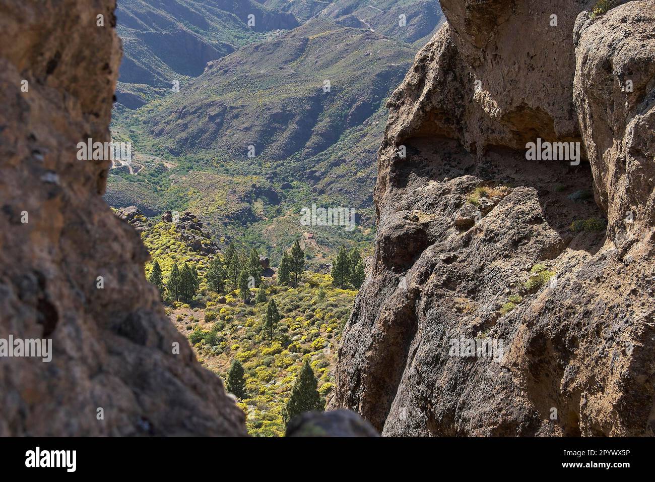 Massif Central, view into the depths, broom, trees, rocks, Roque Nublo ...