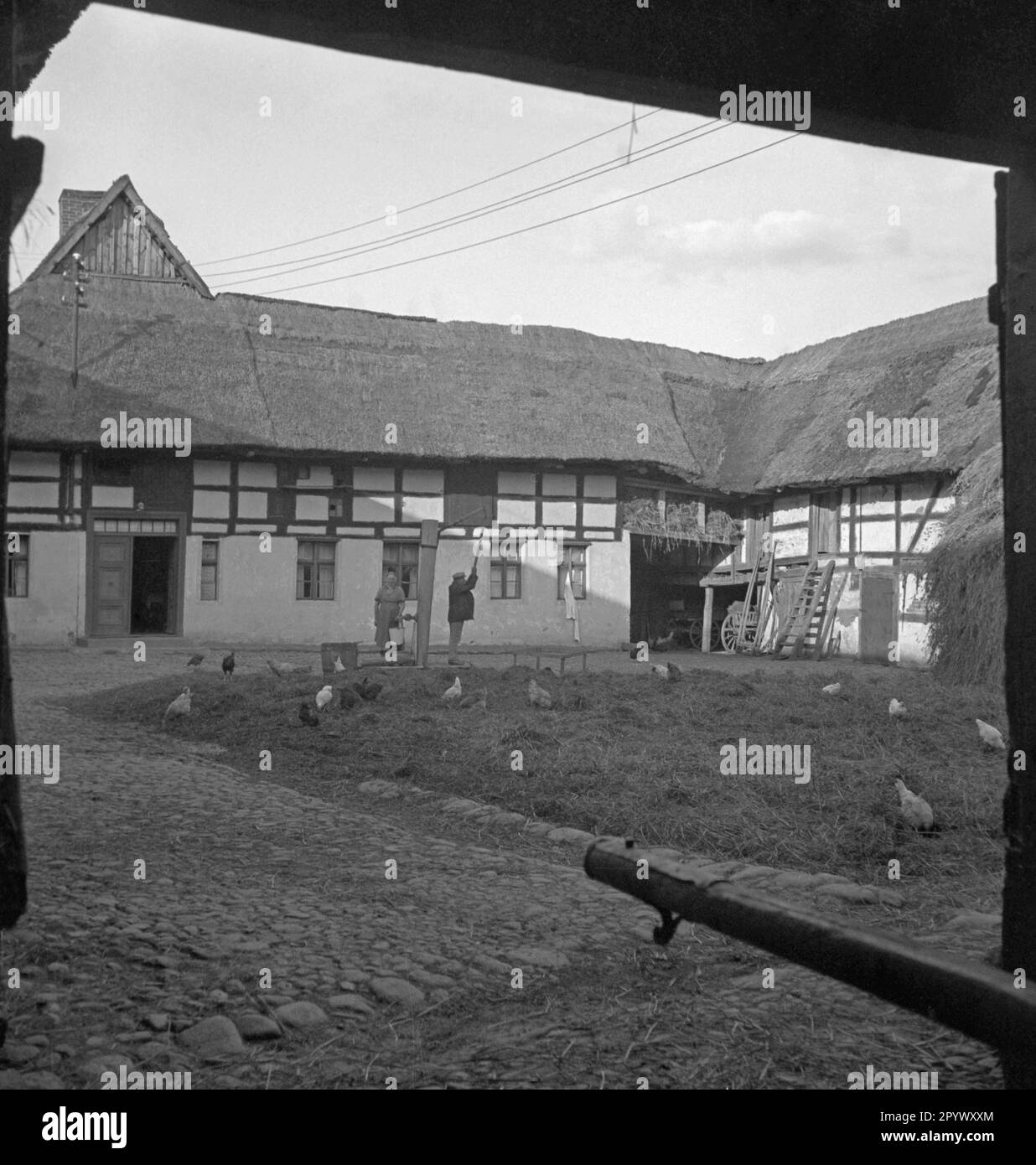 View of the courtyard of an old farm in Pomerania. Chickens run over the straw-covered ground. In the background, a farmer pumps water from a small well. Undated photo, probably in the 1930s Stock Photo