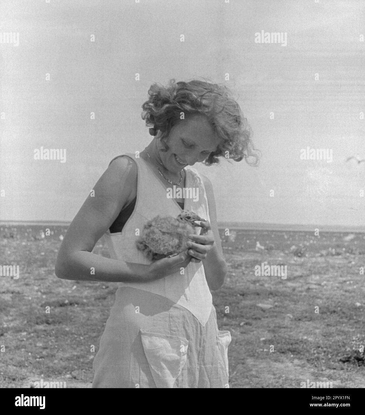 Seagull Chicks Black And White Stock Photos Images Alamy pp13-richmond-primary-school