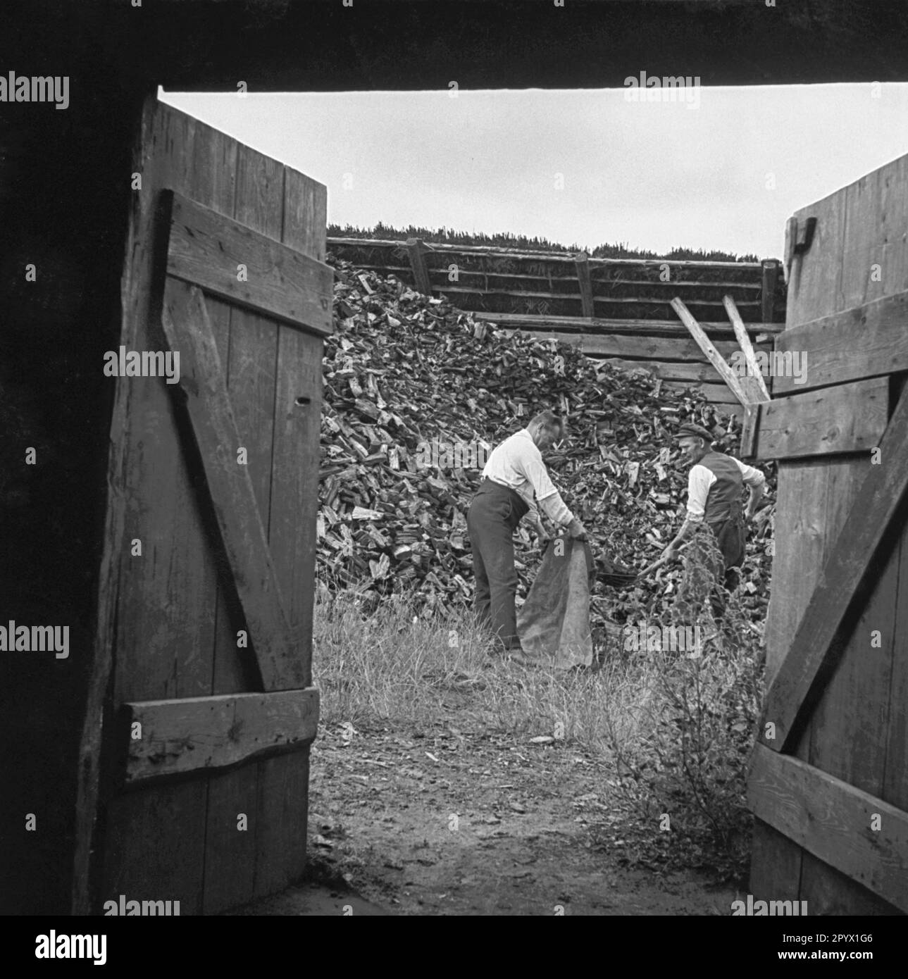 Workers fill a sack with wood logs, to obtain tar after the pyrolytic