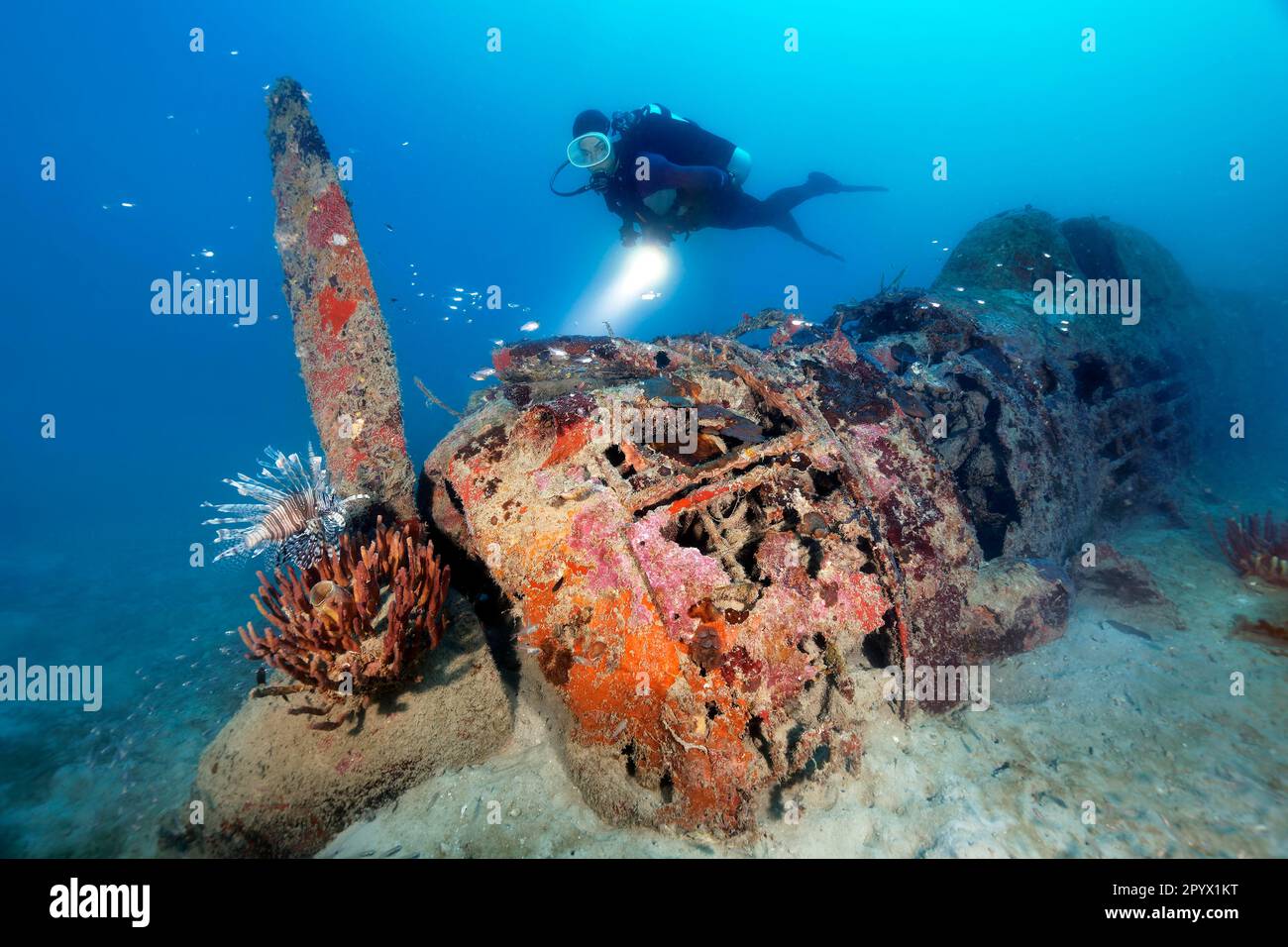 Diver explores Japanese Nakajima Ki-43 Hayabusa, aircraft wreck, wreckage, aircraft, fighter, fighter, jm sand bottom, World War II, propeller Stock Photo