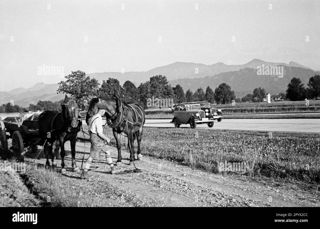 A farmer yokes his horses in front of a cart. Beside, cars drive over