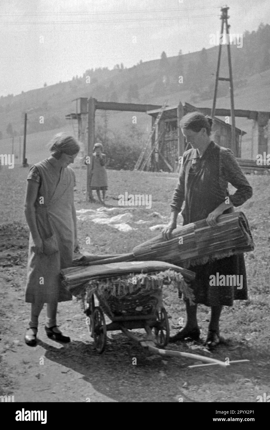 Women load carpets on a wheelbarrow Stock Photo - Alamy