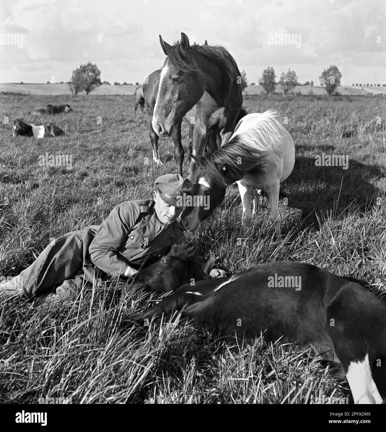 Farm mansion Black and White Stock Photos & Images Alamy