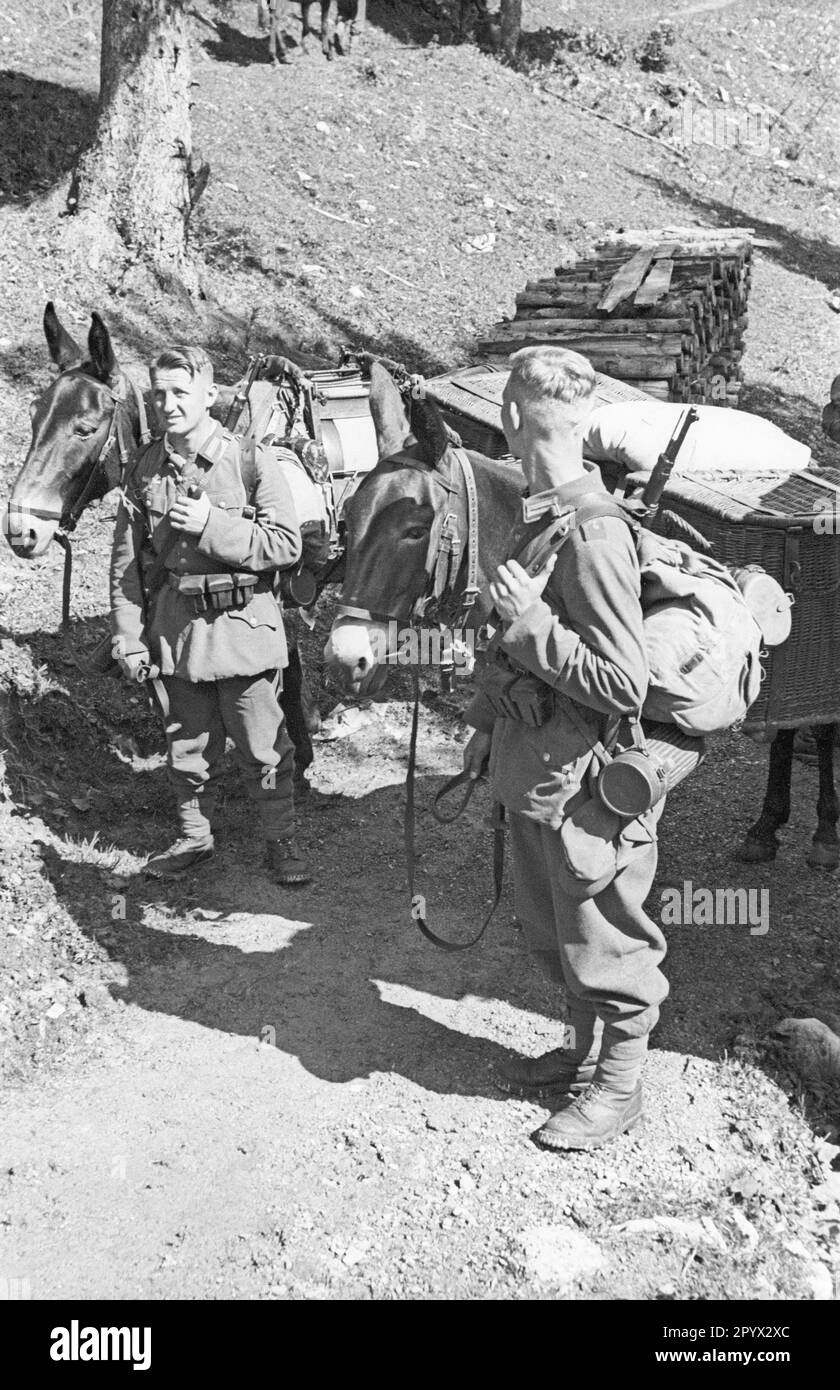During an exercise of a Gebirgsjaegerkompanie (mountain infantry