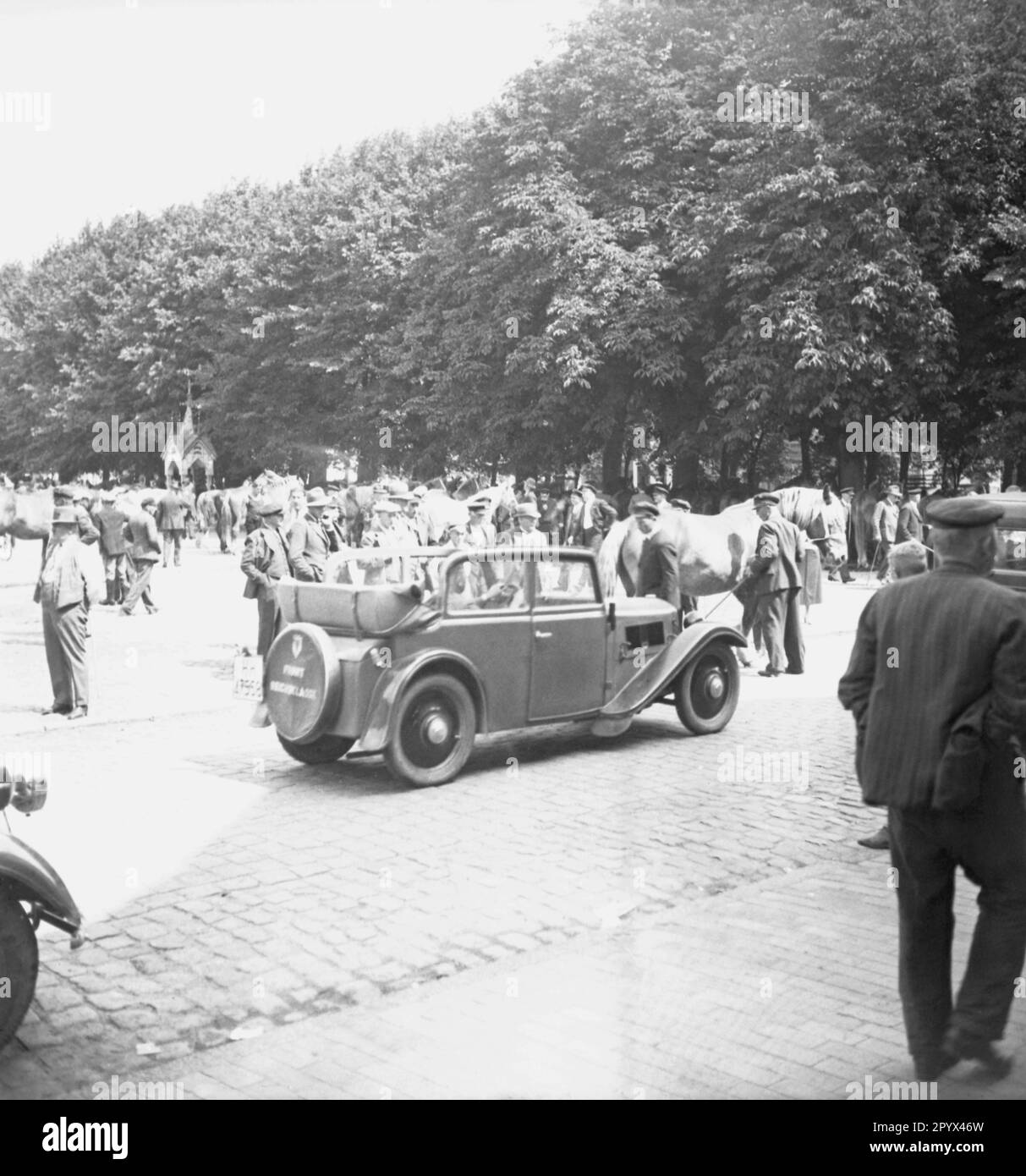 Undated photo of the cattle market in Husum, Nordfriesland, Schleswig-Holstein around 1940. Here, cattle dealers, who drive their animals (including cold-blood horses and cattle) to the market. In the middle, a German automobile type DKW F2 (first year of construction 1932). Stock Photo