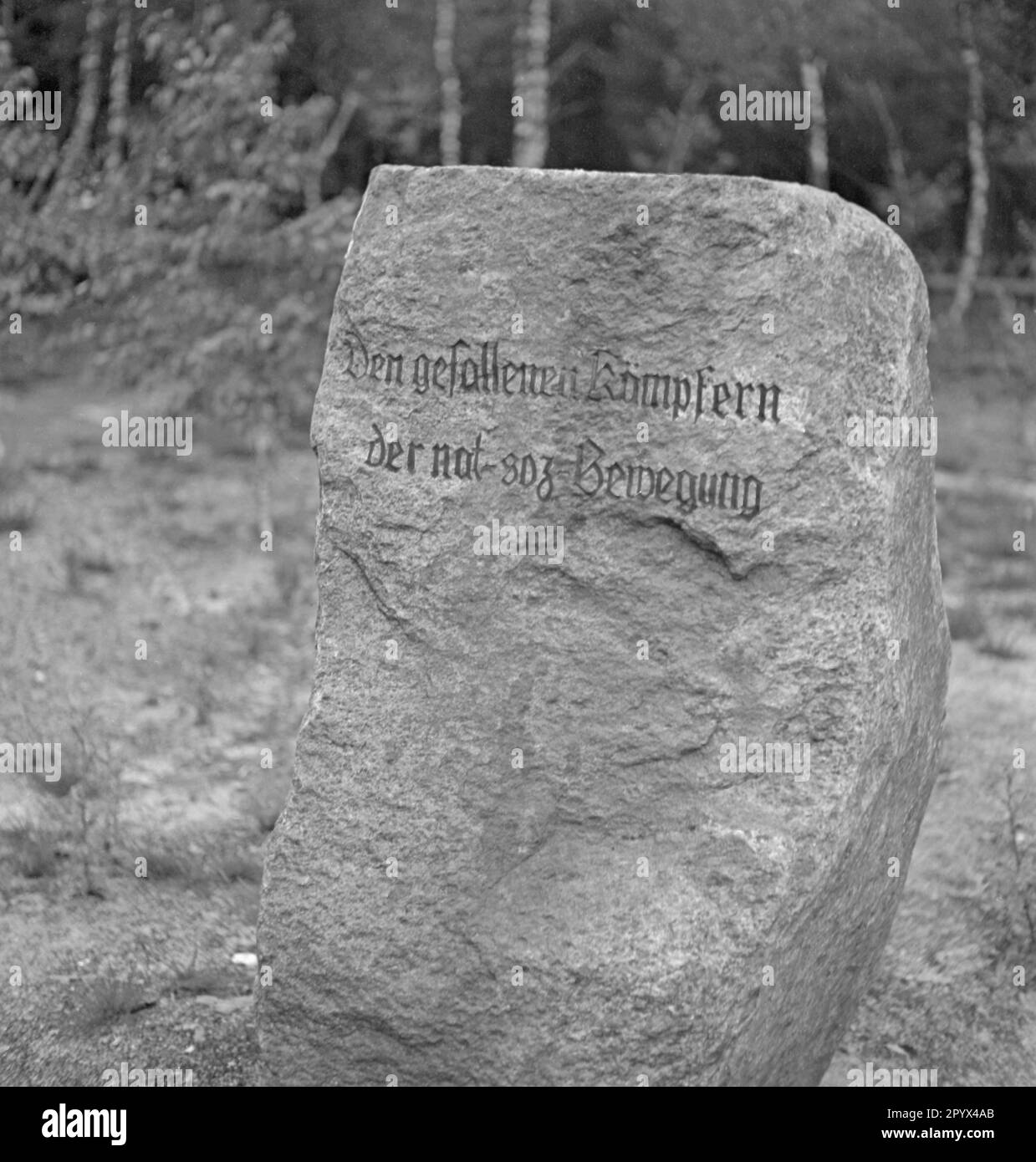 Photo of a memorial stone (glacial erratic) at the Landtagsplatz in Hoesseringen near Suderburg in the Lueneburg Heath. The stone is serves as a reminder of the victims of the National Socialist movement. The photo was taken on the occasion of the inauguration of the Landtagsplatz by the National Socialists on June 28, 1936. Stock Photo