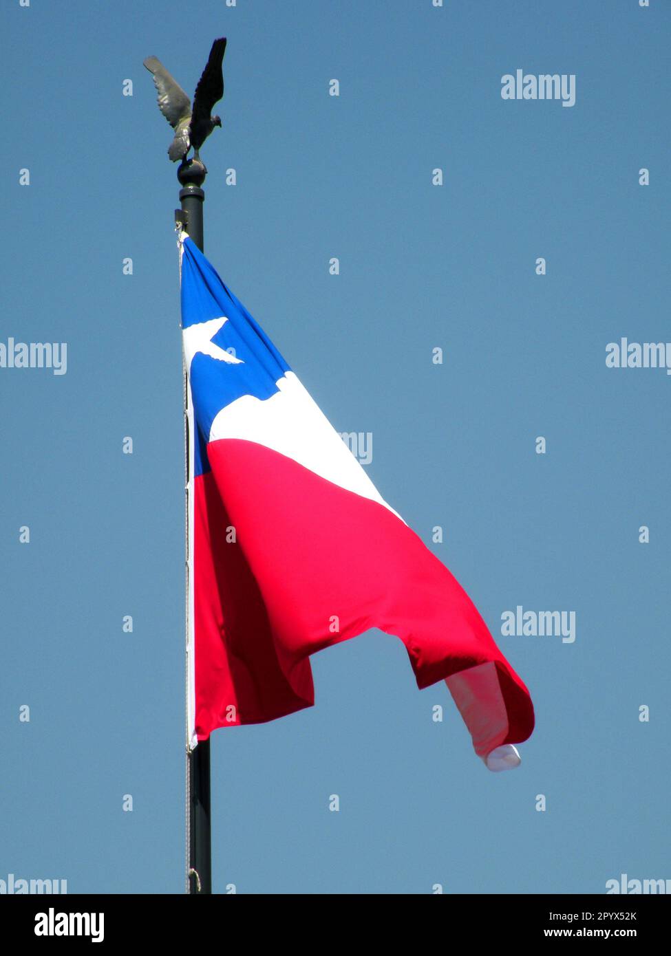 Waving chilean flag Stock Photo Alamy