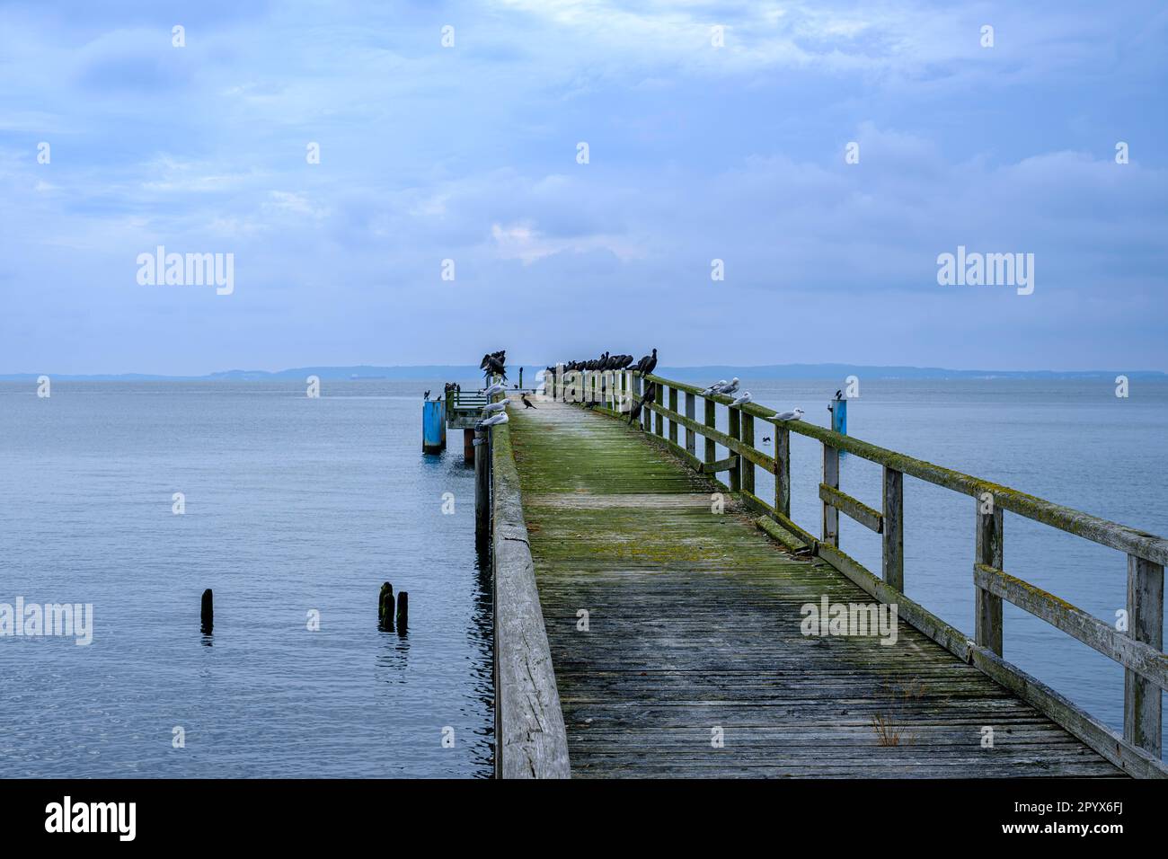 Old pier at the seafront of Sassnitz, Mecklenburg-Western Pomerania, Rugen Island, Germany, Europe. Stock Photo
