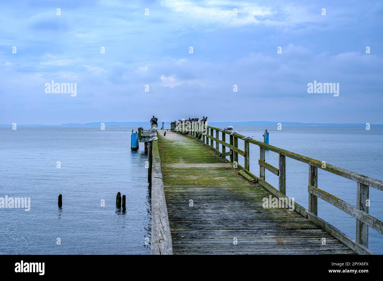 Old pier at the seafront of Sassnitz, Mecklenburg-Western Pomerania, Rugen Island, Germany, Europe. Stock Photo