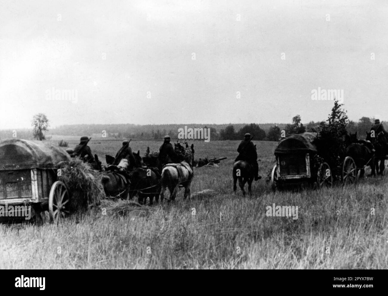 Tensioned supply wagons of an infantry unit on the Desna River during the offensive on Moscow near Chapilovka. Photo: Lüthge. [automated translation] Stock Photo